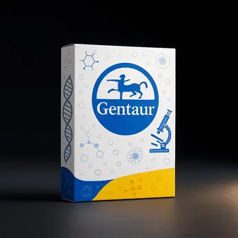 [FM-BF51732PBFMCOMC1] Gentaur Lbm M Box 1200c 208/240v Com